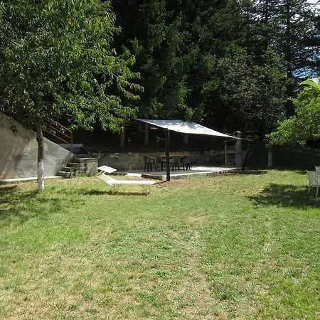 Elia Assergi